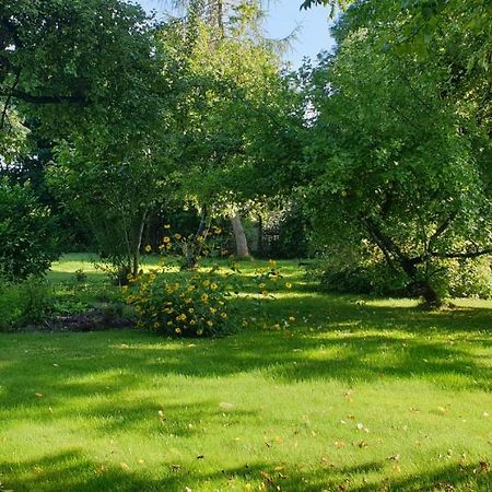 Majiga Istaba Ar Balkonu Un Vannasistaba, Bezmaksas Velo Noma Iecava Exterior foto